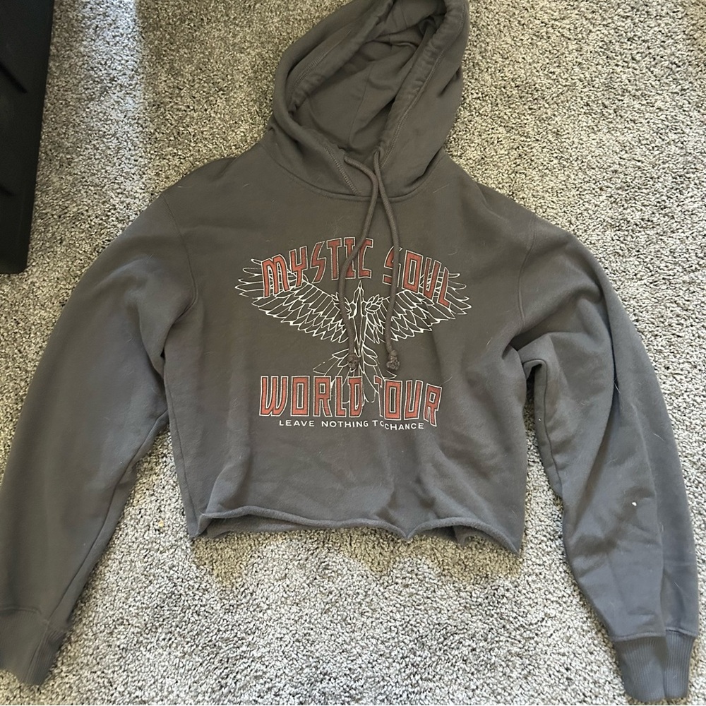 Hollister Graphic Crop Gray Hoodie